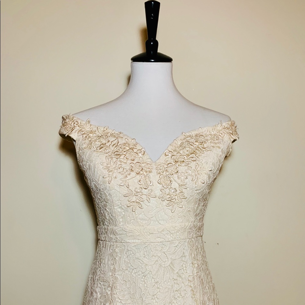 Lace Wedding dress bridal gown